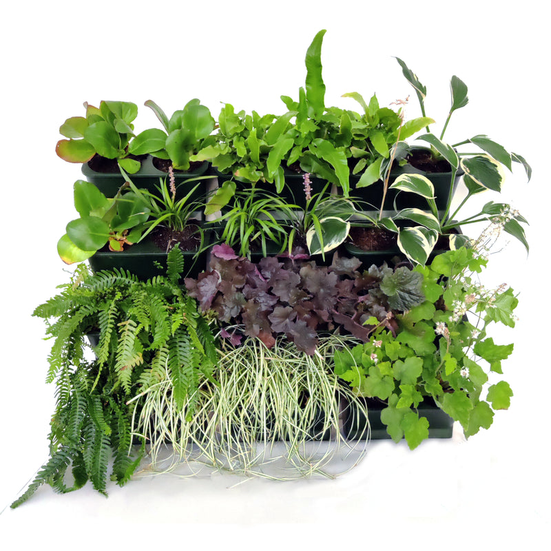 Vertical garden planter - Green - Stackable with click system - 33x15 cm